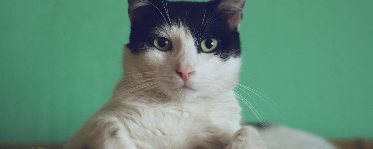 Photo taken from unsplash Photo taken from unsplash